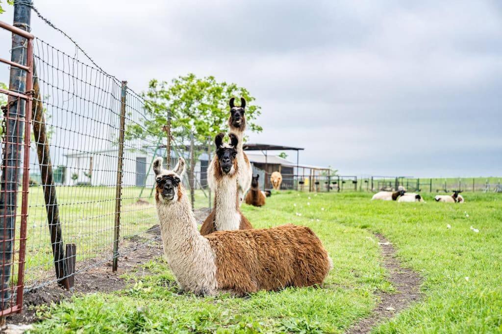 Silo House At Laughing Llama Farm Troy Экстерьер фото