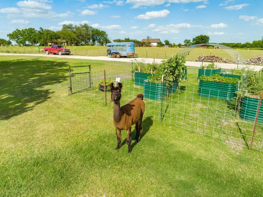 Silo House At Laughing Llama Farm Troy Экстерьер фото