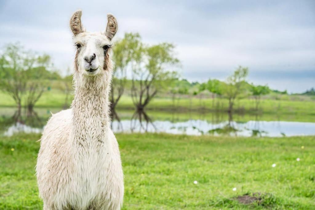 Silo House At Laughing Llama Farm Troy Экстерьер фото